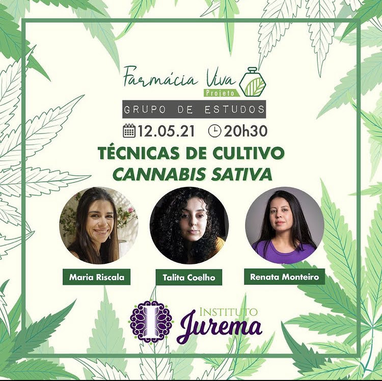 Grupo de Estudos Projeto Farmácia Viva: Técnicas de Cultivo Cannabis Sativa