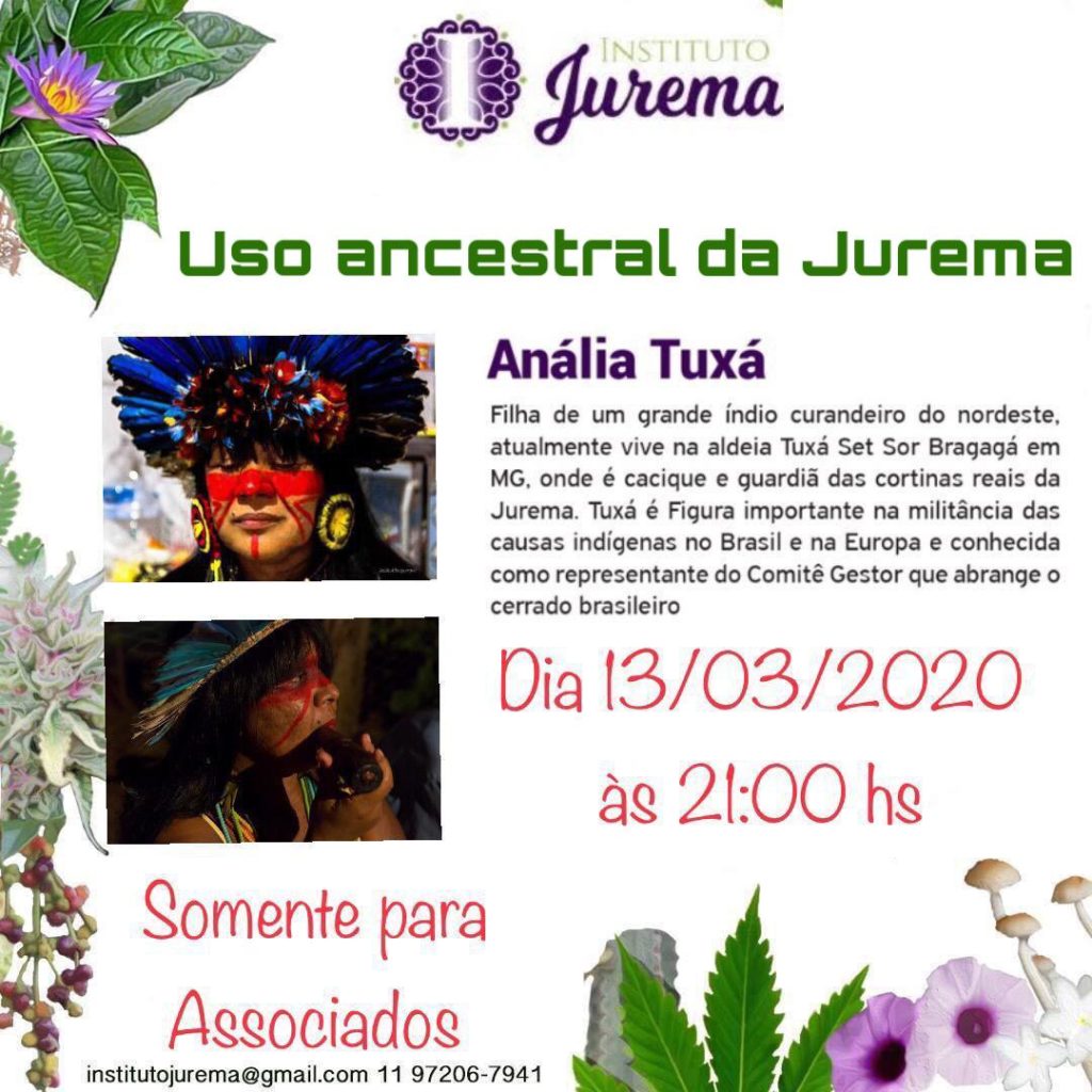 Uso ritualístico da Jurema com Anália Tuxá, guardiã das cortinas reais da Jurema;