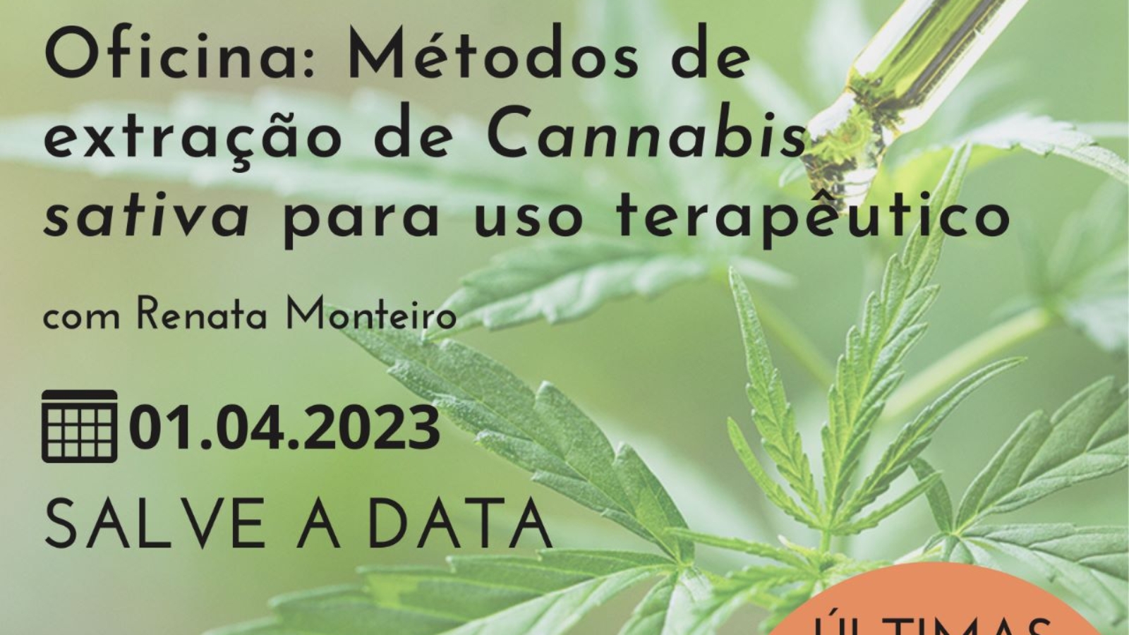 Oficina Método De Extração De Cannabis Sativa Para Uso Terapêutico Instituto Jurema 8735